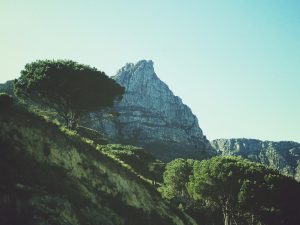 Read more about the article 早起親近神