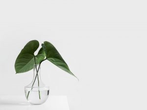 Read more about the article 讀後感︰簡約教會