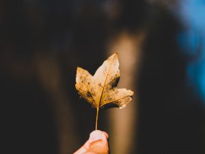 Read more about the article 我在耶穌裏是誰？（下）